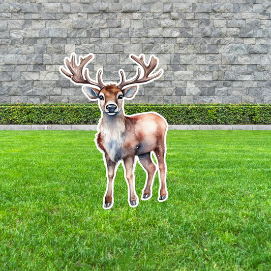 Reindeer